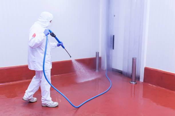 Best Solar Panel Cleaning  in Meyersdale, PA