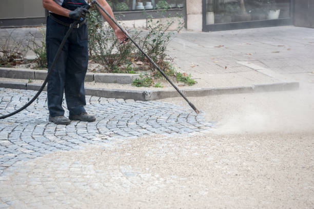 Best Fence Cleaning  in Meyersdale, PA